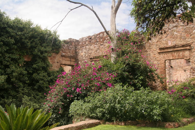 slideshow image